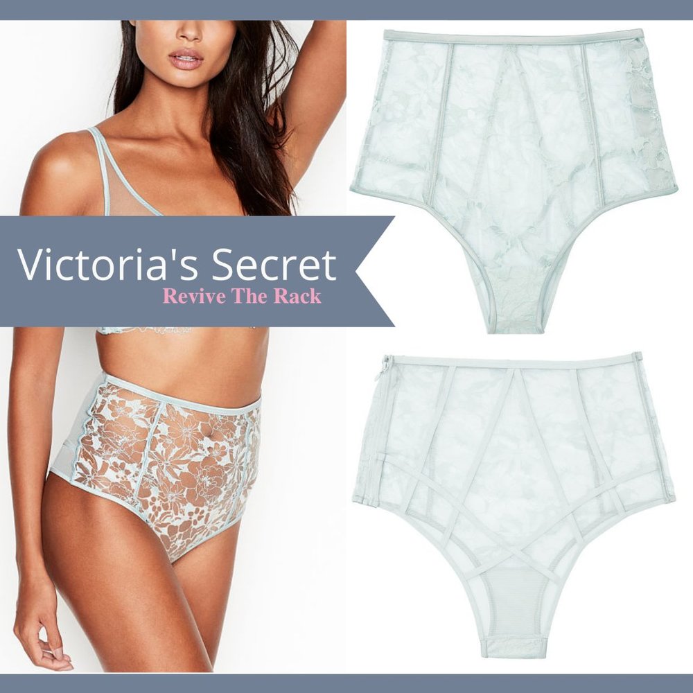 NWT $50 Victoria's Secret Embroidered Zip Sheer Cheeky Panty [SZ Medium‎ ]